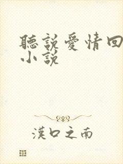 听说爱情回来过小说