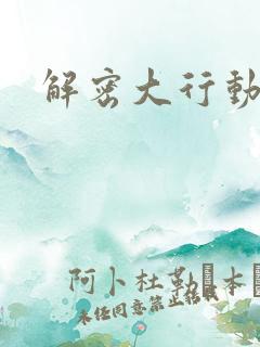 解密大行动