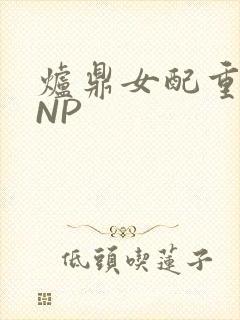 炉鼎女配重生之NP