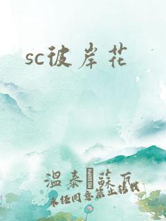 sc彼岸花
