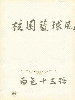 校园蓝球风云