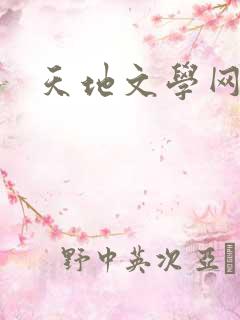 天地文学网