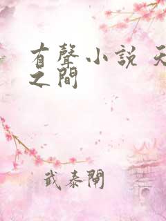 有声小说 天地之间