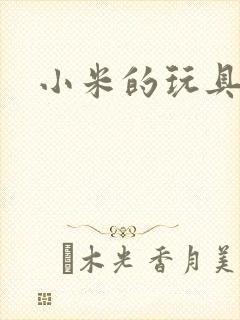 小米的玩具日记