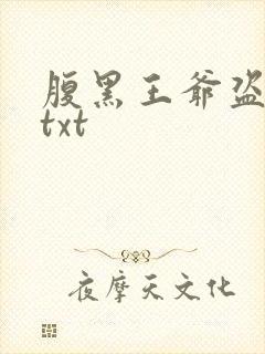 腹黑王爷盗墓妃txt