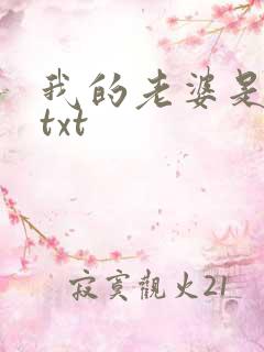 我的老婆是警察txt