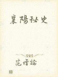 襄阳秘史