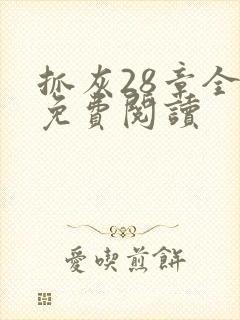 抓灰28章全部免费阅读