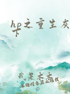 hp之重生灰猊下