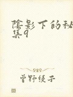 阴影下的秘密全集9