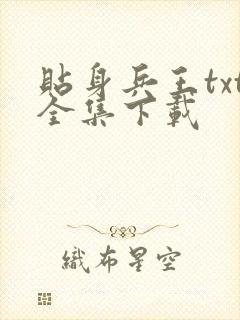贴身兵王txt全集下载