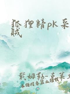 狐狸精pk采花贼