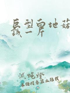 巨型白地菇多少钱一斤