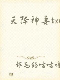 天降神妻txt