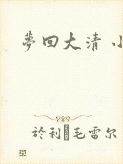梦回大清 小说