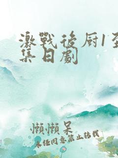 激战后厨1至5集日剧