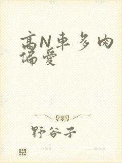 高N车多肉多轮偏爱