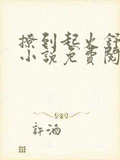 撩到起火舒漾的小说免费阅读全文