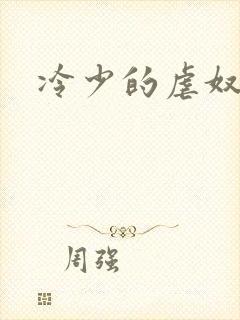 冷少的虐奴