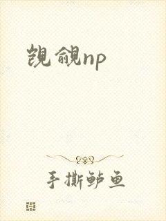 觊觎np