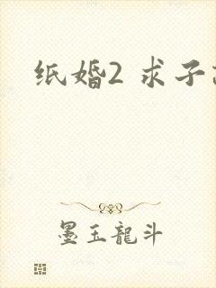纸婚2 求子记
