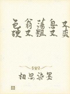 色翁荡息又大又硬又粗又爽小莹