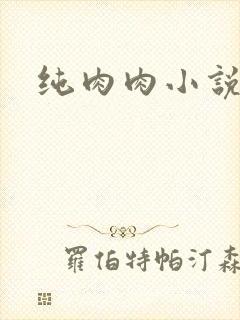 纯肉肉小说