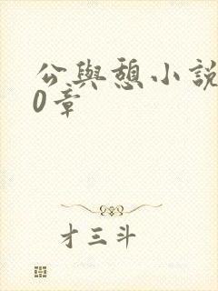 公与憩小说400章