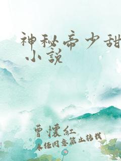 神秘帝少甜宠妻 小说