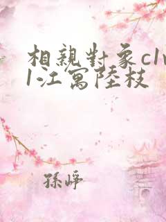 相亲对象c1v1江寓陆枝
