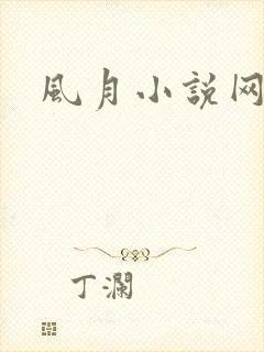 风月小说网