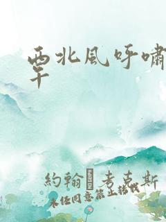 西北风呼啸的中午