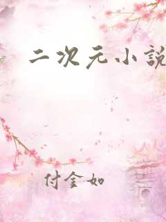 二次元小说网站