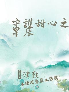 守护甜心之暗夜星辰