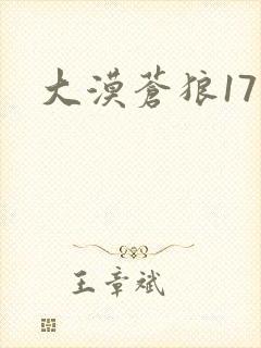 大漠苍狼17