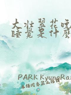 大壮翠花晚上不睡觉是什么电视剧