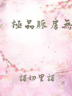 极品账房无弹窗