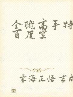 全职高手特别篇百度云