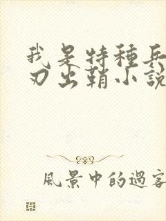 我是特种兵之利刃出鞘小说