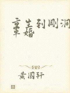 重生到刚洞房的军婚