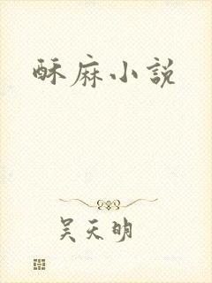 酥麻小说