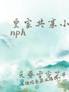 皇家共享小公主nph