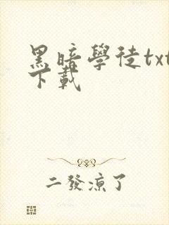 黑暗学徒txt下载
