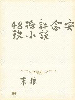 48号许念安穆玫小说