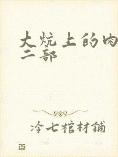 大炕上的肉伦第二部