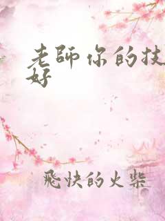 老师你的技术真好