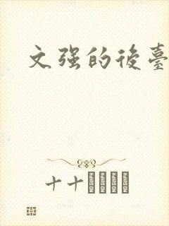 文强的后台是谁