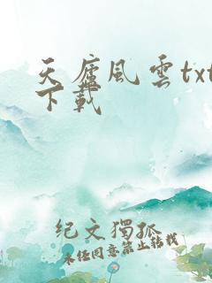 天庐风云txt下载
