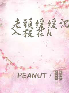 老头缓缓沉腰进入校花h