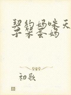 契约妈咪天才儿子笨蛋妈